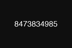 8473834985