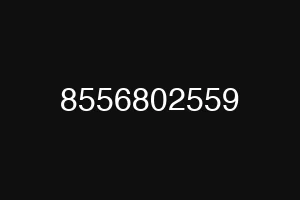 8556802559