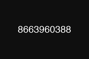 8663960388