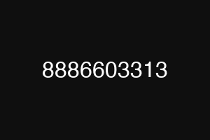 8886603313