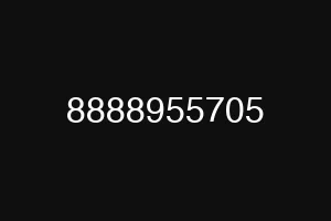 8888955705