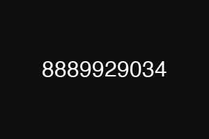 8889929034