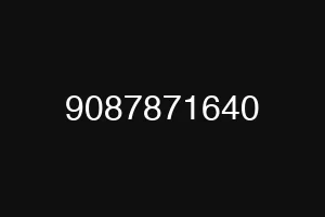 9087871640