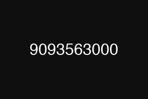 9093563000