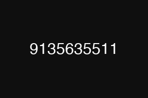 9135635511