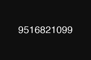 9516821099