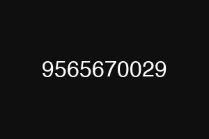 9565670029